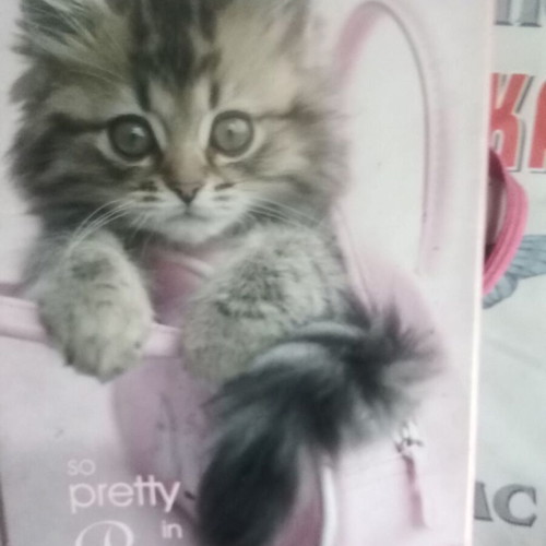 Small folder used
