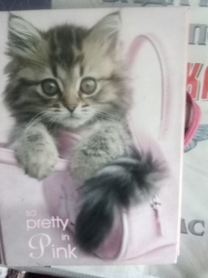 Small folder used