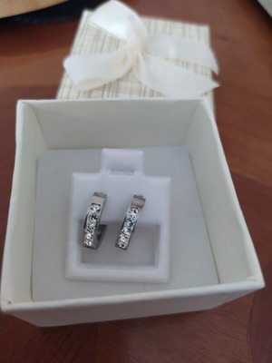 Steel small hoop earrings new