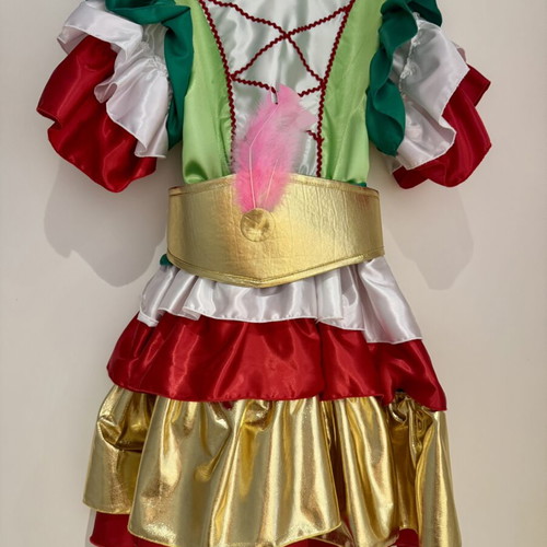 Carnival costume for girls like new, age 6-8