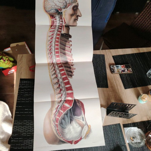 Atlas of Human Anatomy and Surgery book like new