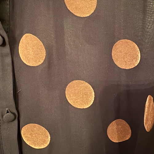 Zara Polka Dot Sheer Shirt Black and Gold XS like new