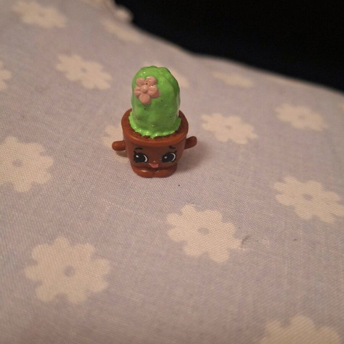 Shopkins Prickles Cactus used