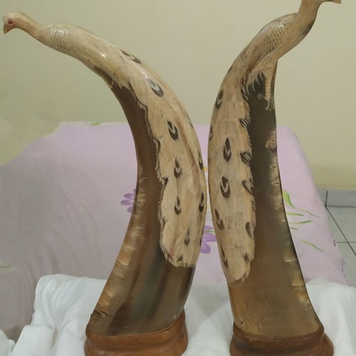 Handmade horn peacock decorations new, set of two pieces