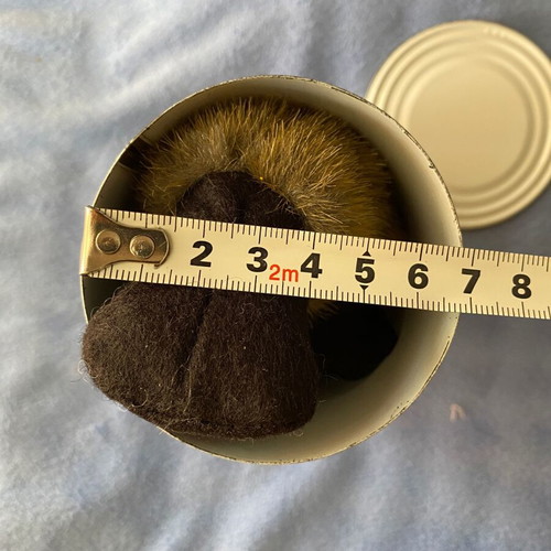 Plush Platypus Toy new in gift tin from Australia