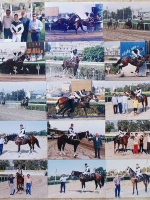 Collectible Large Photographs Set from Faliron Hippodrome, like new, lot 15