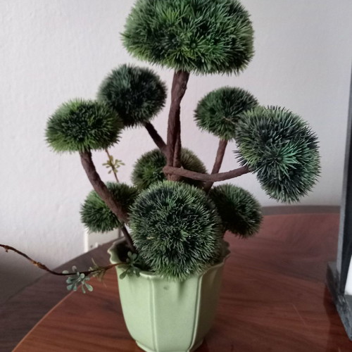 Decorative bonsai-style potted plant used, 36 cm