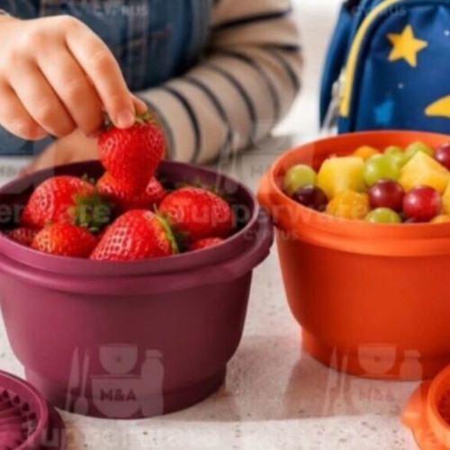 Tupperware vintage bowl set 4 pieces 340 ml ×2 800 ml ×2 new