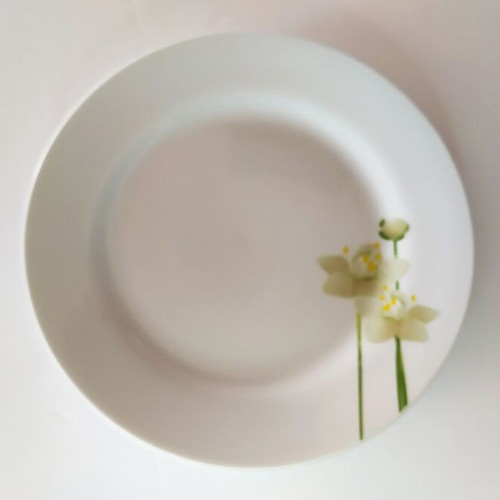 Shallow serving plates used, set of 2 with gift smaller shallow 19cm