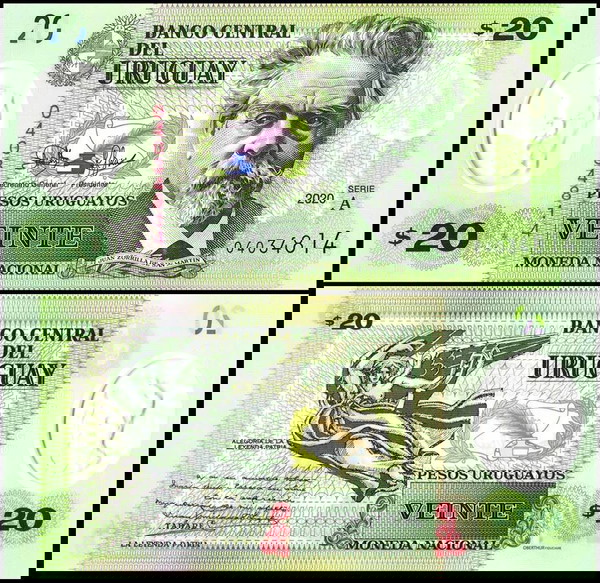 ΟΥΡΟΥΓΟΥΑΗ - 20 Pesos 2020 - Polymer - UNC