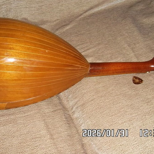 Italian Mandolin used with waterproof case and pickup