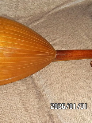 Italian Mandolin used with waterproof case and pickup
