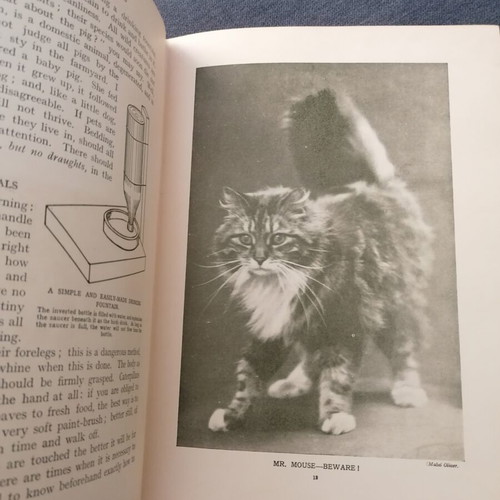Pets and How to Keep Them book used