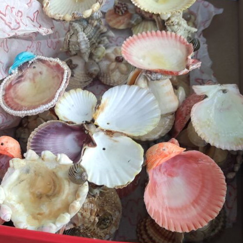 Tealight holders with colorful shells, set of 20, new