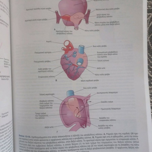 The Human Embryology Book like new, clinical orientation