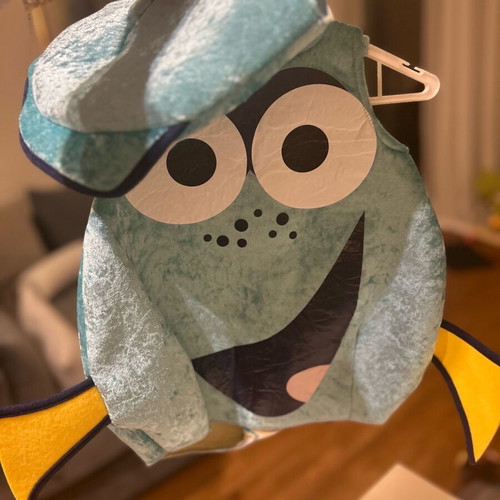 Fish Costume carnival like new