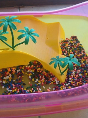 Turtle aquarium like new with ramp and colorful gravel 45x30 cm