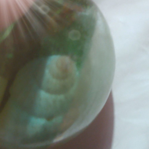 Handmade aquarium ball necklace with pearl and fish