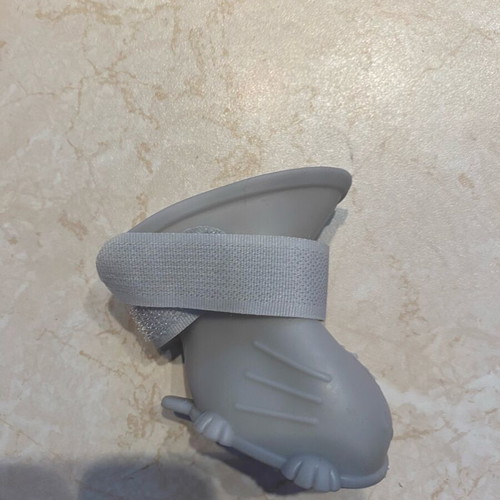 Small dog shoes and water bottle with feeder new