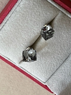 Earrings New
