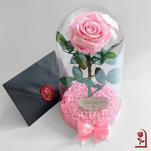 Pink natural eternal rose in large glass dome new