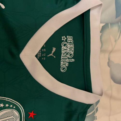 Palmeiras Jersey 2025-2026 Season New, Size XL