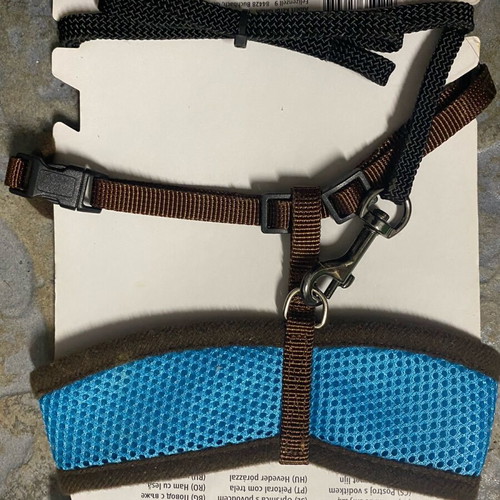 Cat collar with harness leash new