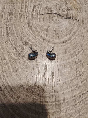 Stainless Steel Earrings like new, silver color