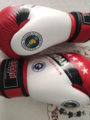 Tendan Taekwondo Kids Gloves like new, size small