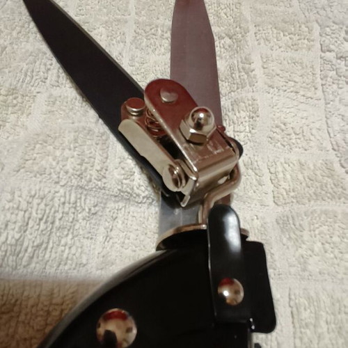 Chloe Border Rose Pruning Shears 34cm New