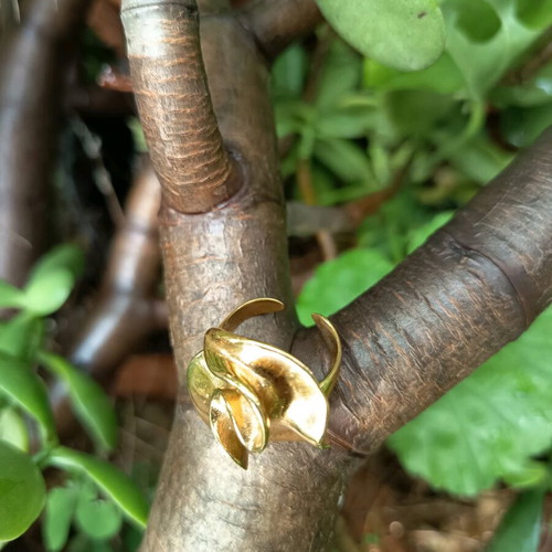 Ring impressive made of stainless steel used