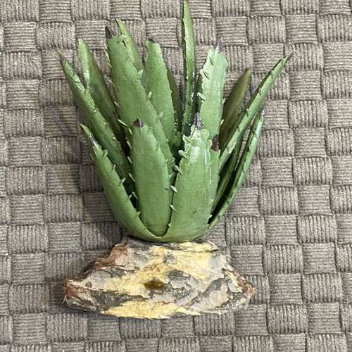 Decorative Aloe Plant for Aquarium and Terrarium, new