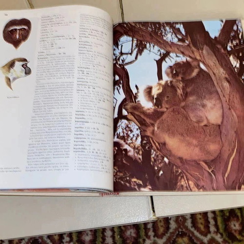 Encyclopedia The Wonderful World of Animals set 8 volumes like new