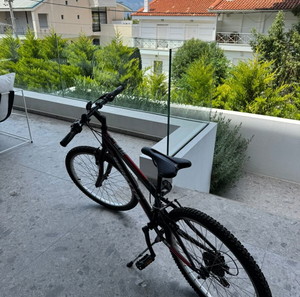 Ποδηλατο Beretta TRX100