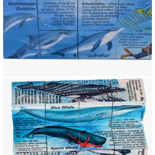 Zoobookoo Cube Book Dolphins and Whales new, educational