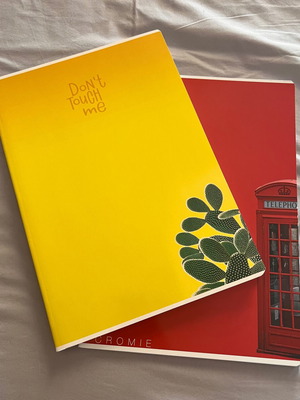 Italian notebooks large set of two with folder for notes like new