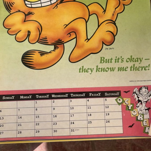 Garfield 1978 calendar used