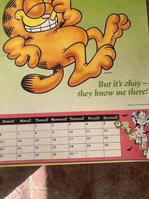 Garfield 1978 calendar used