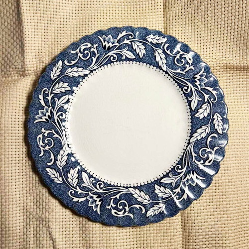 Rare collectible J&G Meakin Lucerne plate like new, Staffordshire Ironstone