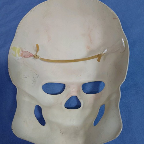 Skull used, thick plastic