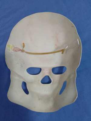 Skull used, thick plastic
