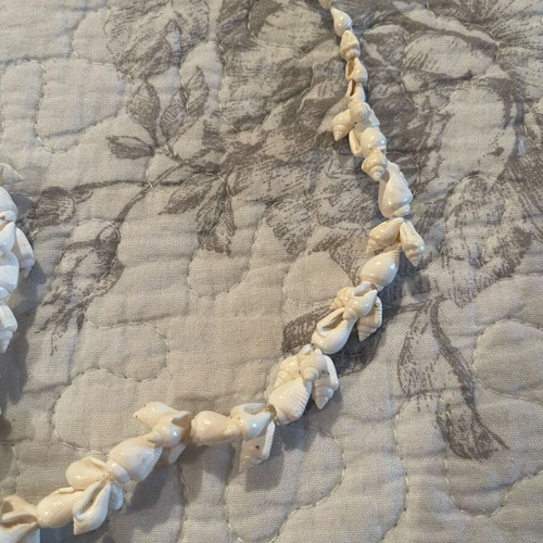 Shell long necklace new, white and beige