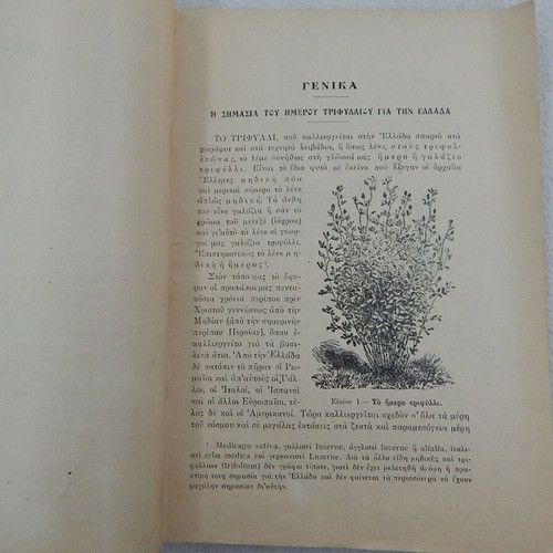 Book To Trifylli 1927 used, paperback