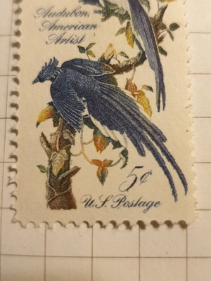 Пощенска марка 1963 5c Birds нова с лепило