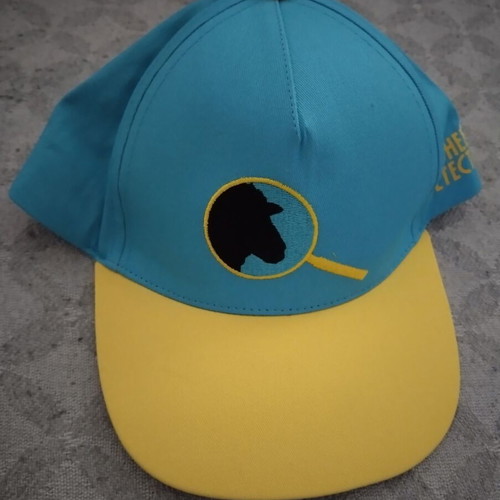 Children's Hat Οι μαλλιαροι ντετέκτιβ new, unused, yellow and turquoise