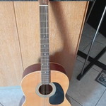 Guitar refurbished for beginner steps