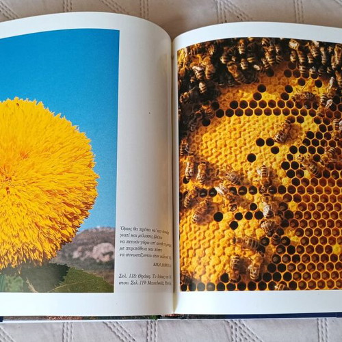 Photographic album The Four Seasons in Greece used