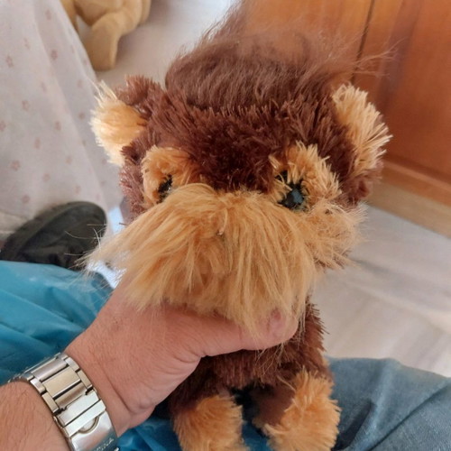Fur Real Friends Shaggy Shawn functional
