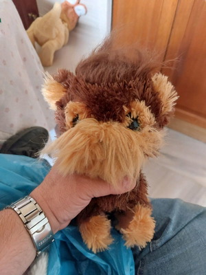 Fur Real Friends Shaggy Shawn functional