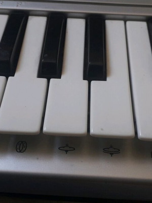 Casio keyboard with 29 keys like new